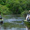 Two Hobie kayaks on Bulimba Creek Canoe Trail