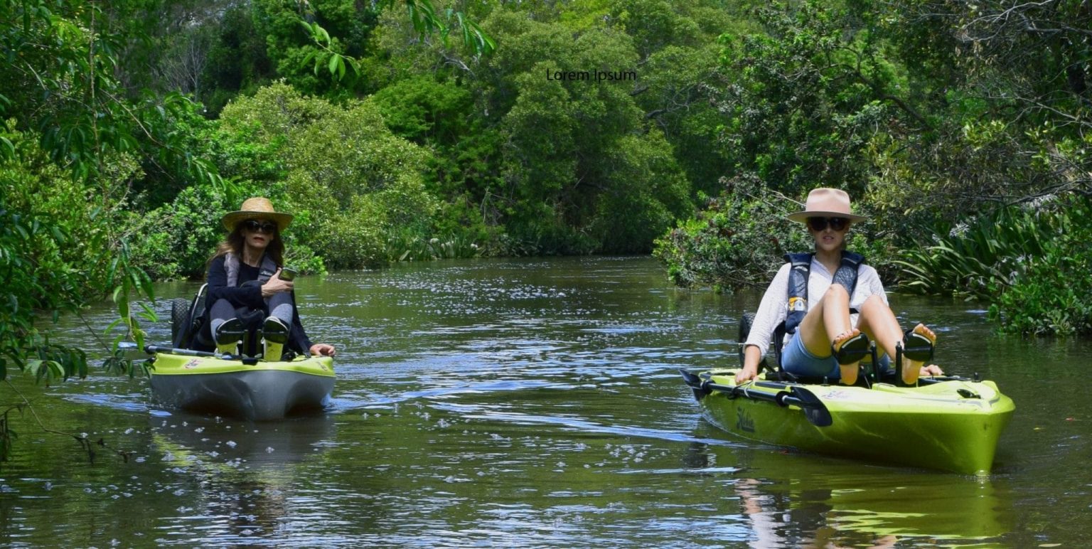 Bulimba Creek Canoe Trail In Brisbane Sunstate WaterSports
