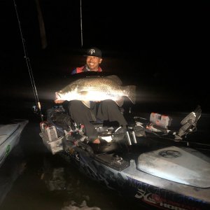 Hobie Kayak Fishing Barra Action Hobie Kayak Fishing Barra Action