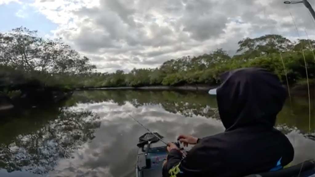 Top Water Mangrove Jack