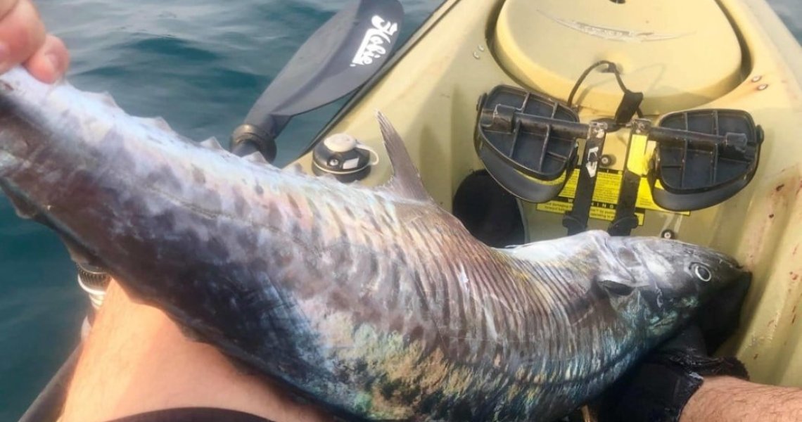 Photo 15-5-20, 10 25 35 am